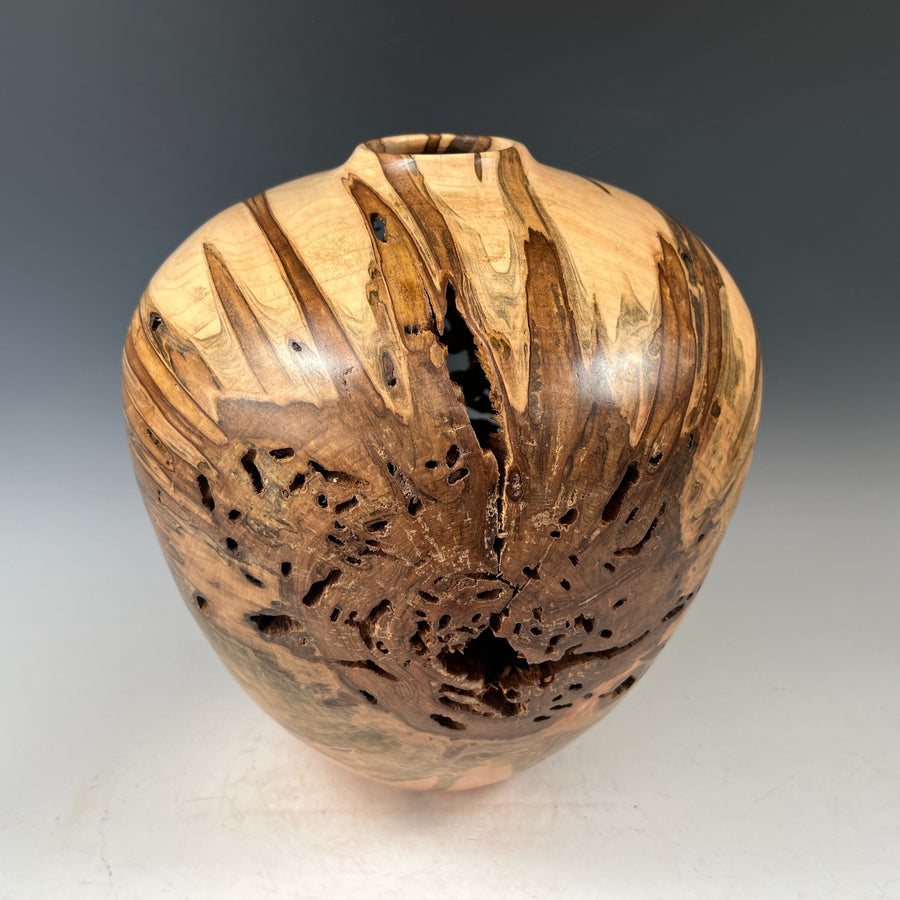 Ambrosia Maple Hollow Form Vessel III