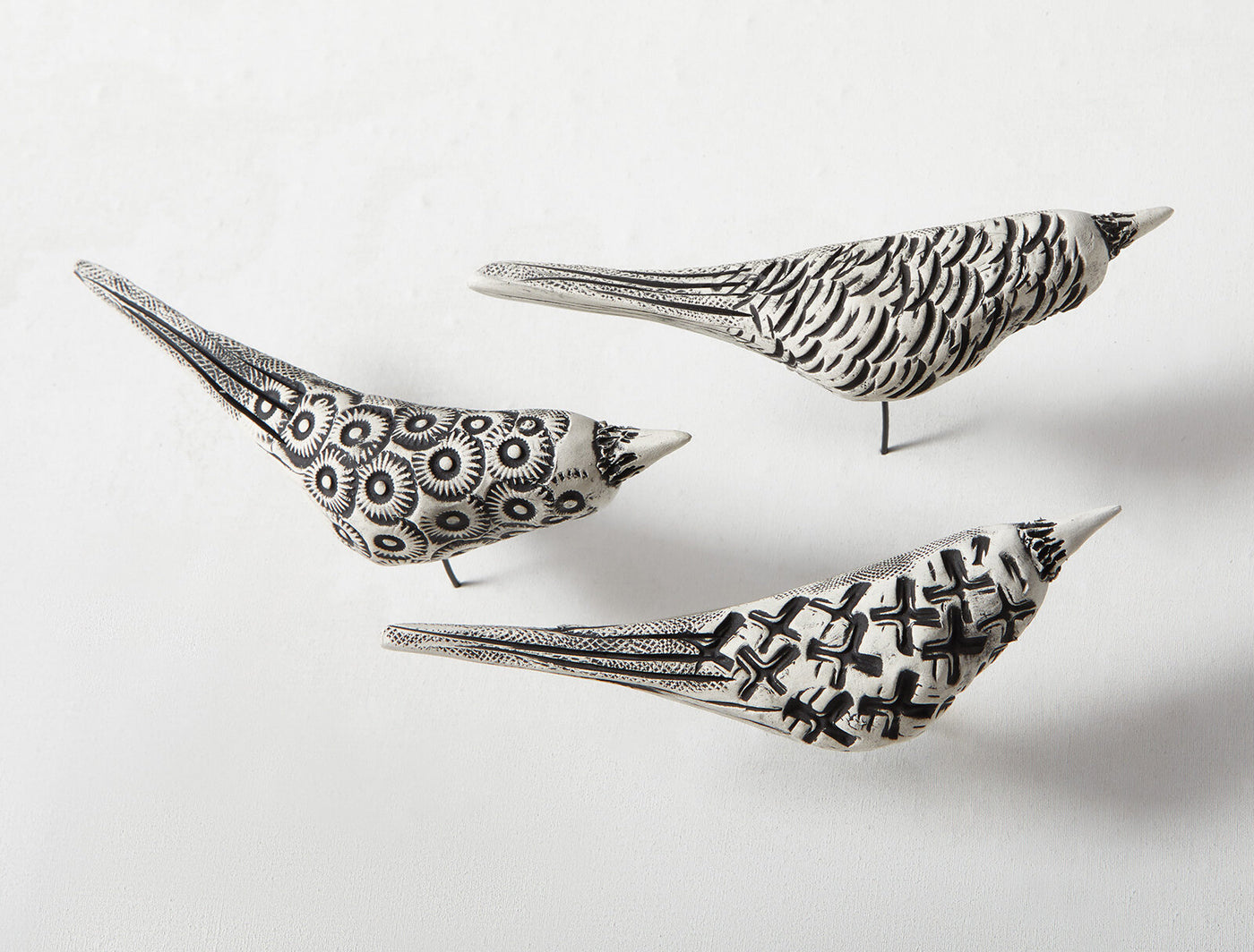 Birds in Flight