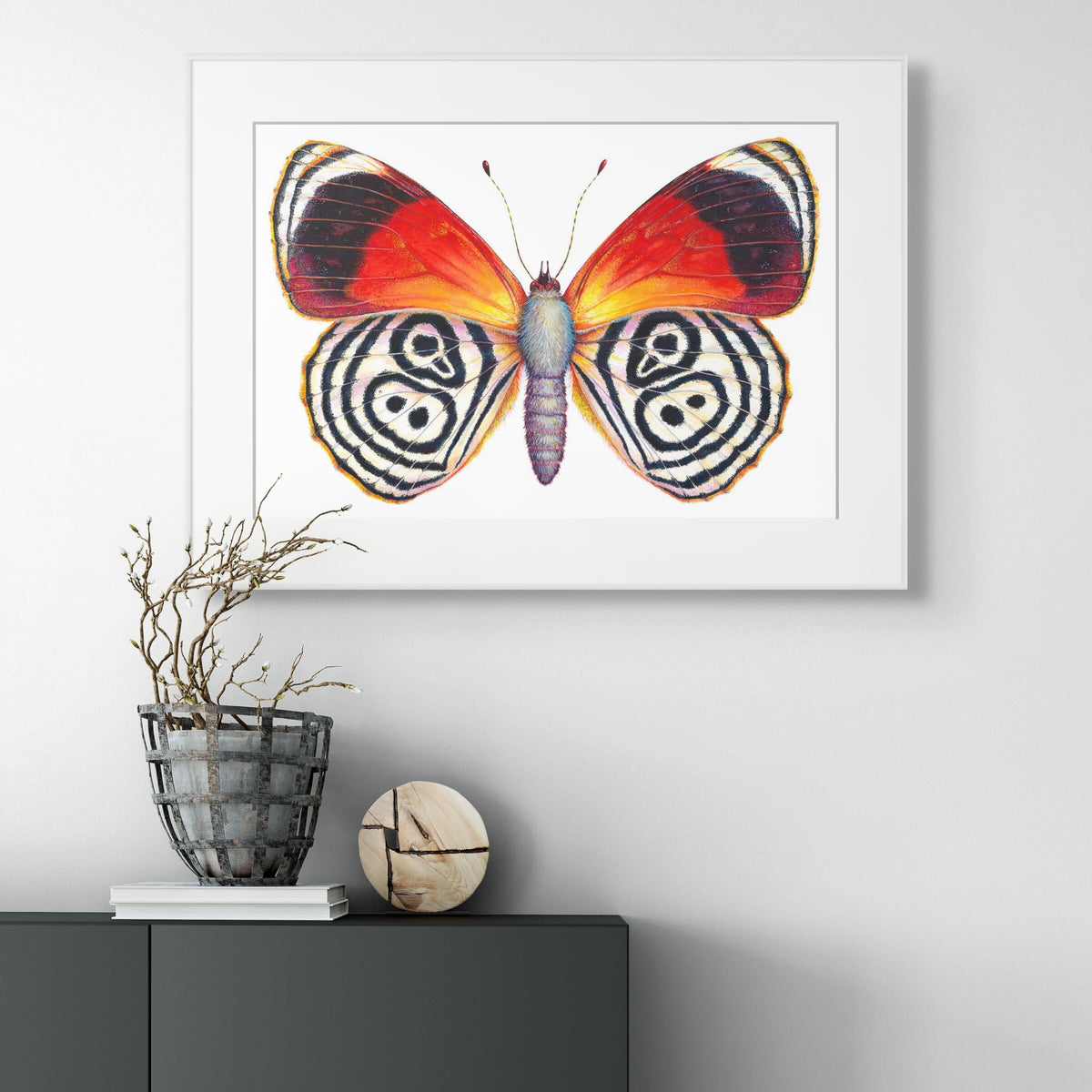 Cramer's 88 Butterfly