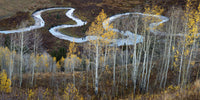 Colorado's East River and Aspens in Fall