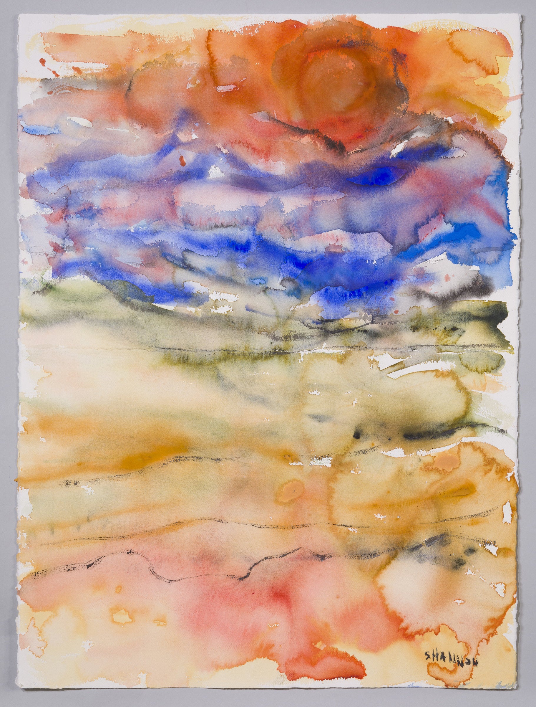 Watery Landscape