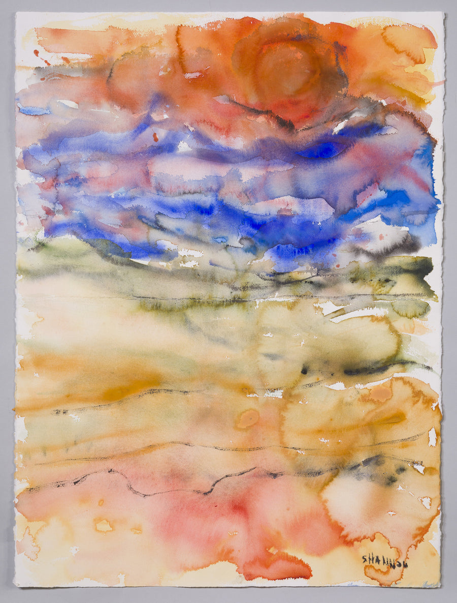 Watery Landscape