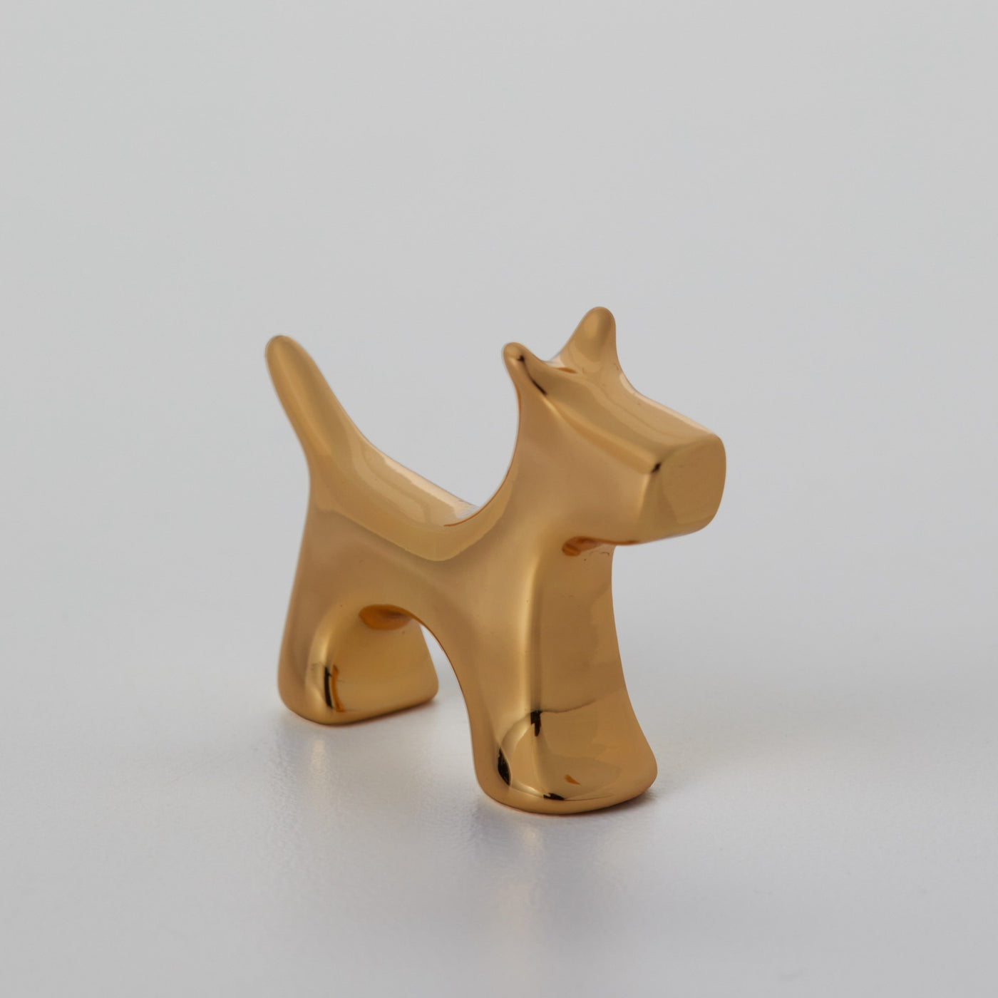 Gold with family dog
