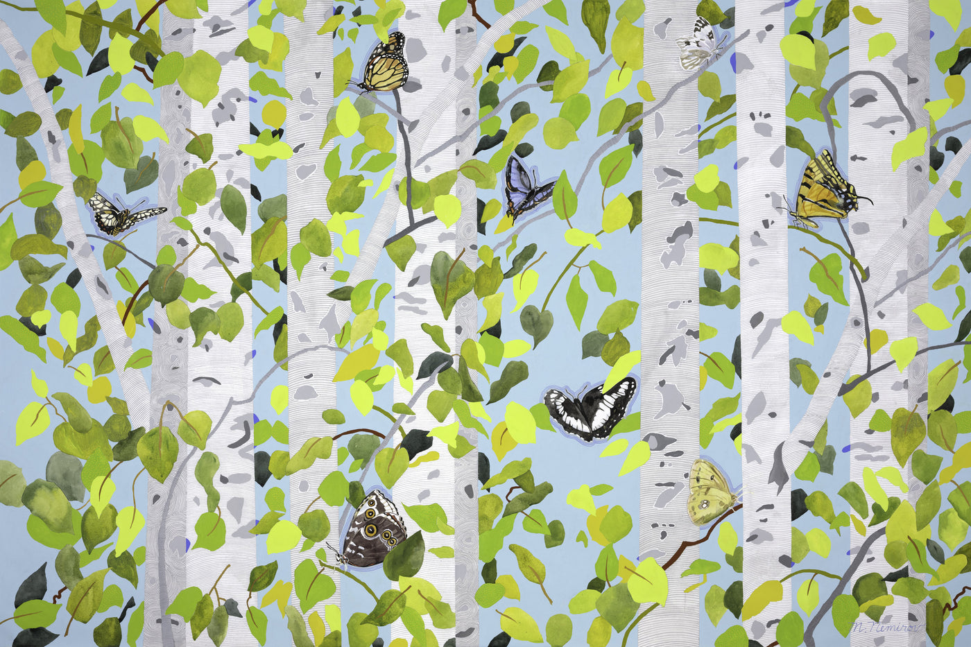Butterflies in the Trees