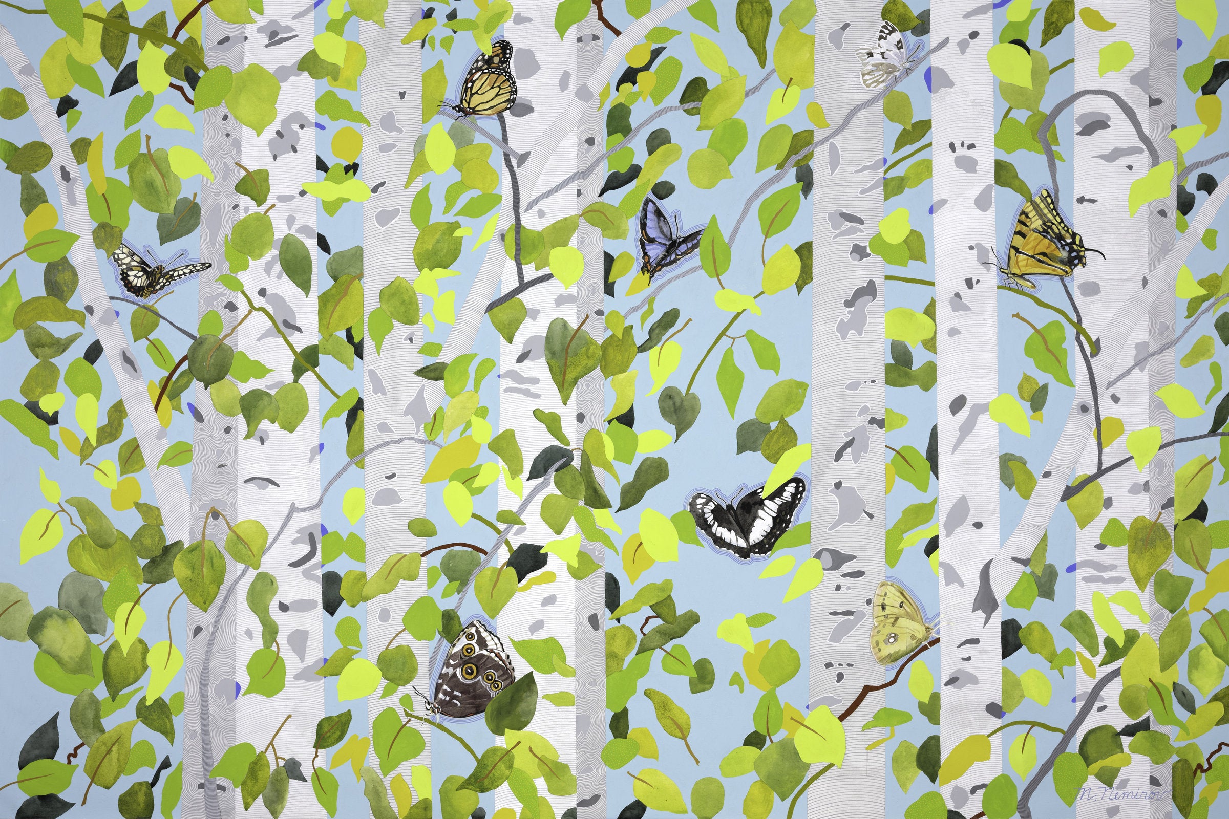 Butterflies in the Trees