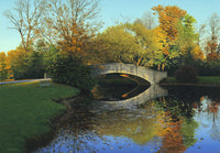 Bridges of Madison 3