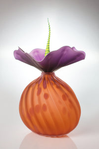 lima apricot