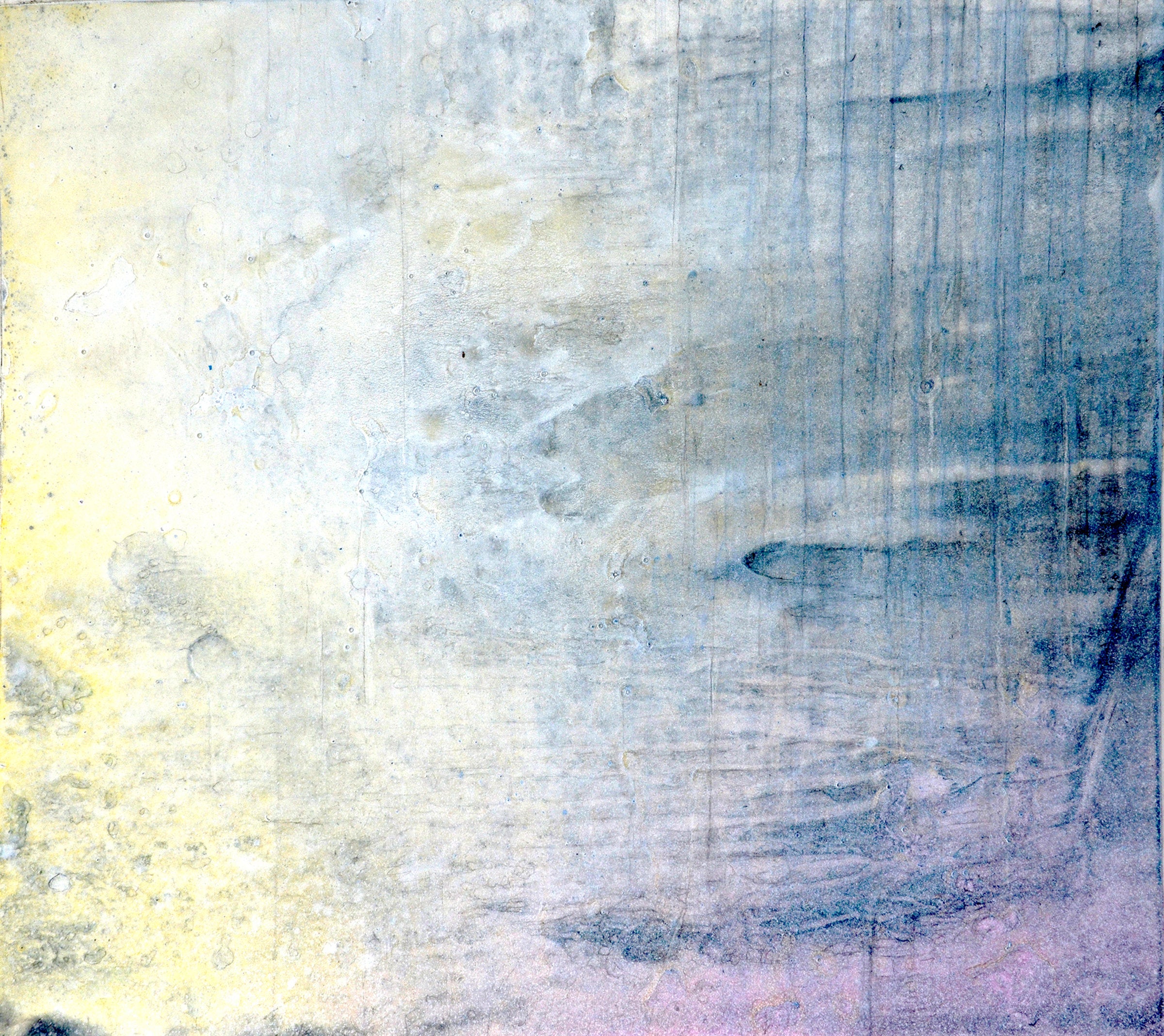 Corallium 14