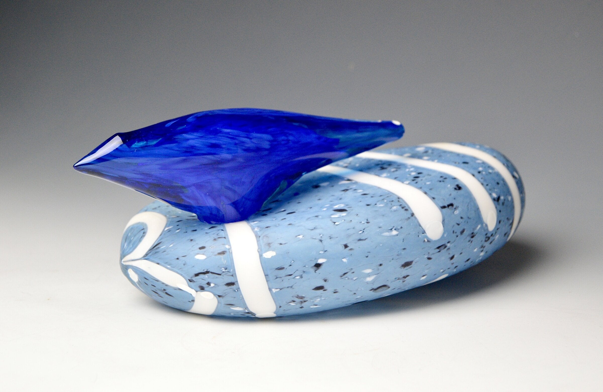 Bluebird on River Stone