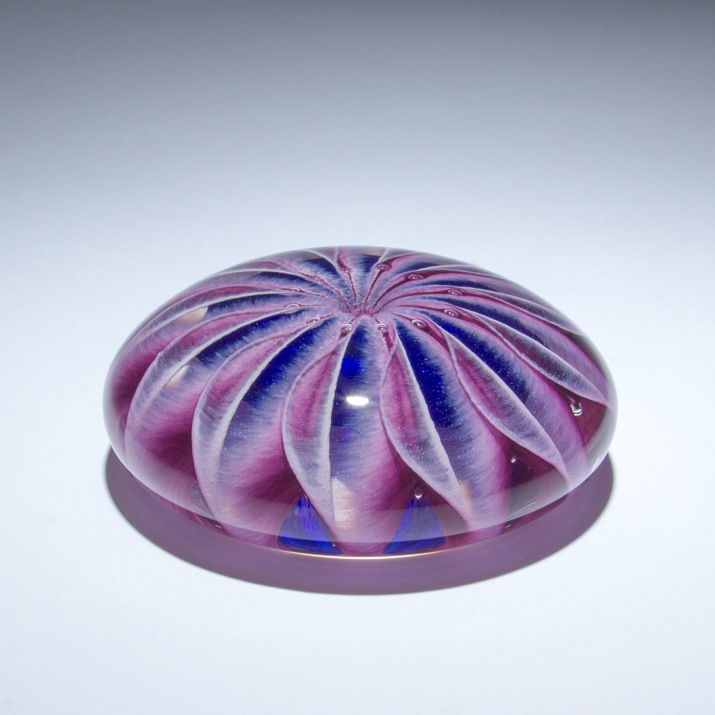 Purple Sea Star