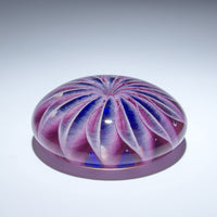Purple Sea Star