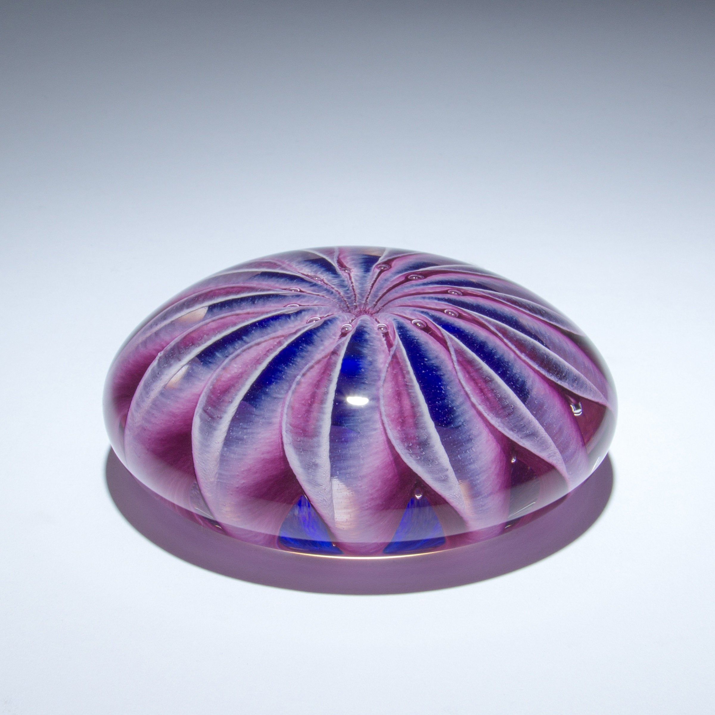 Purple Sea Star