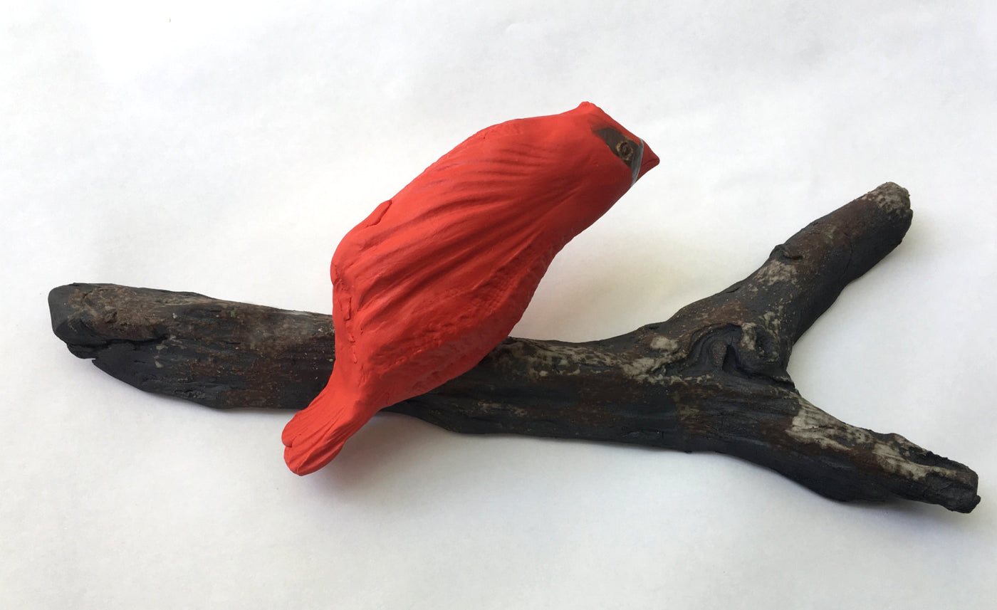 Garden Cardinal
