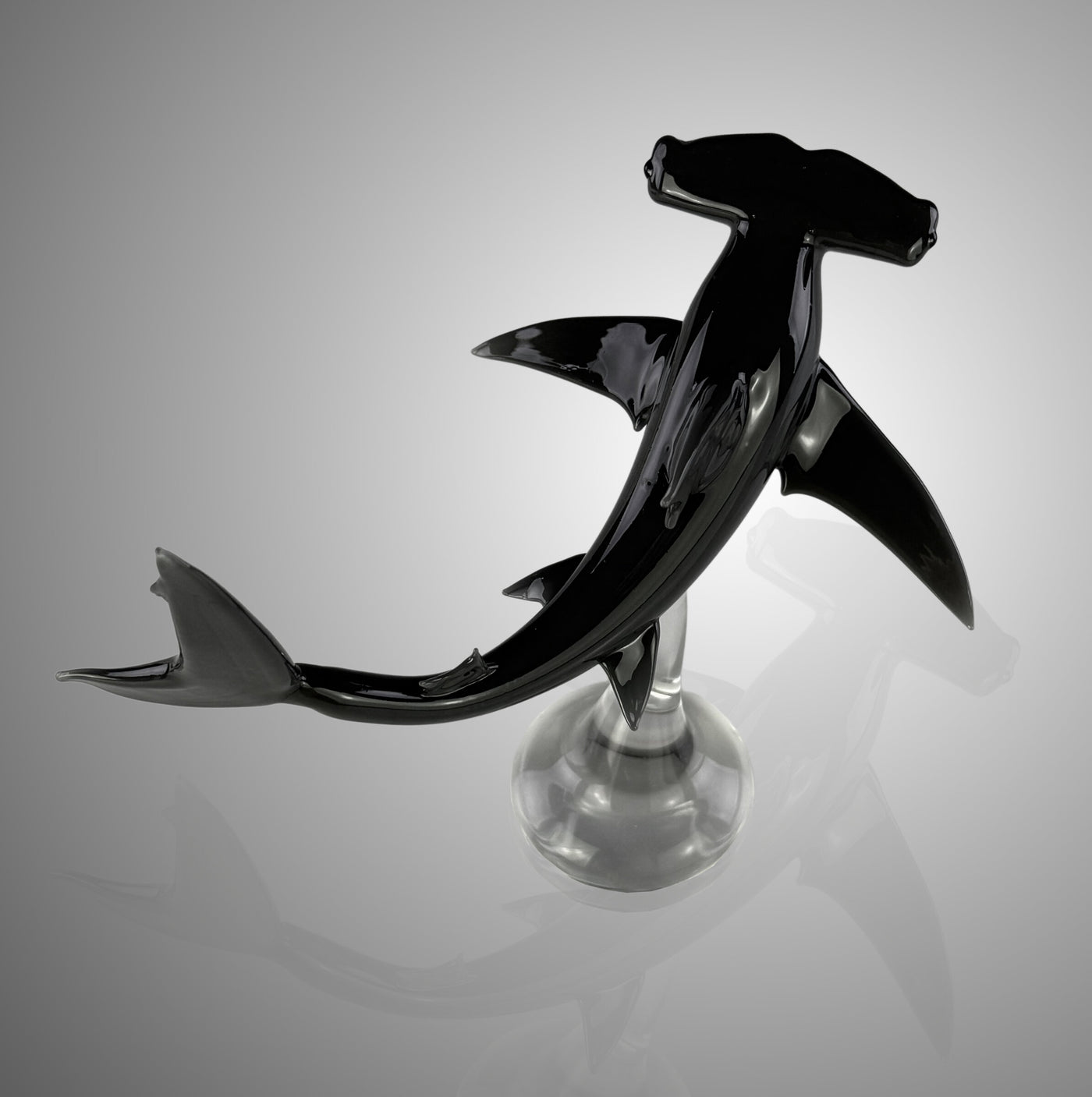 Hammerhead Shark