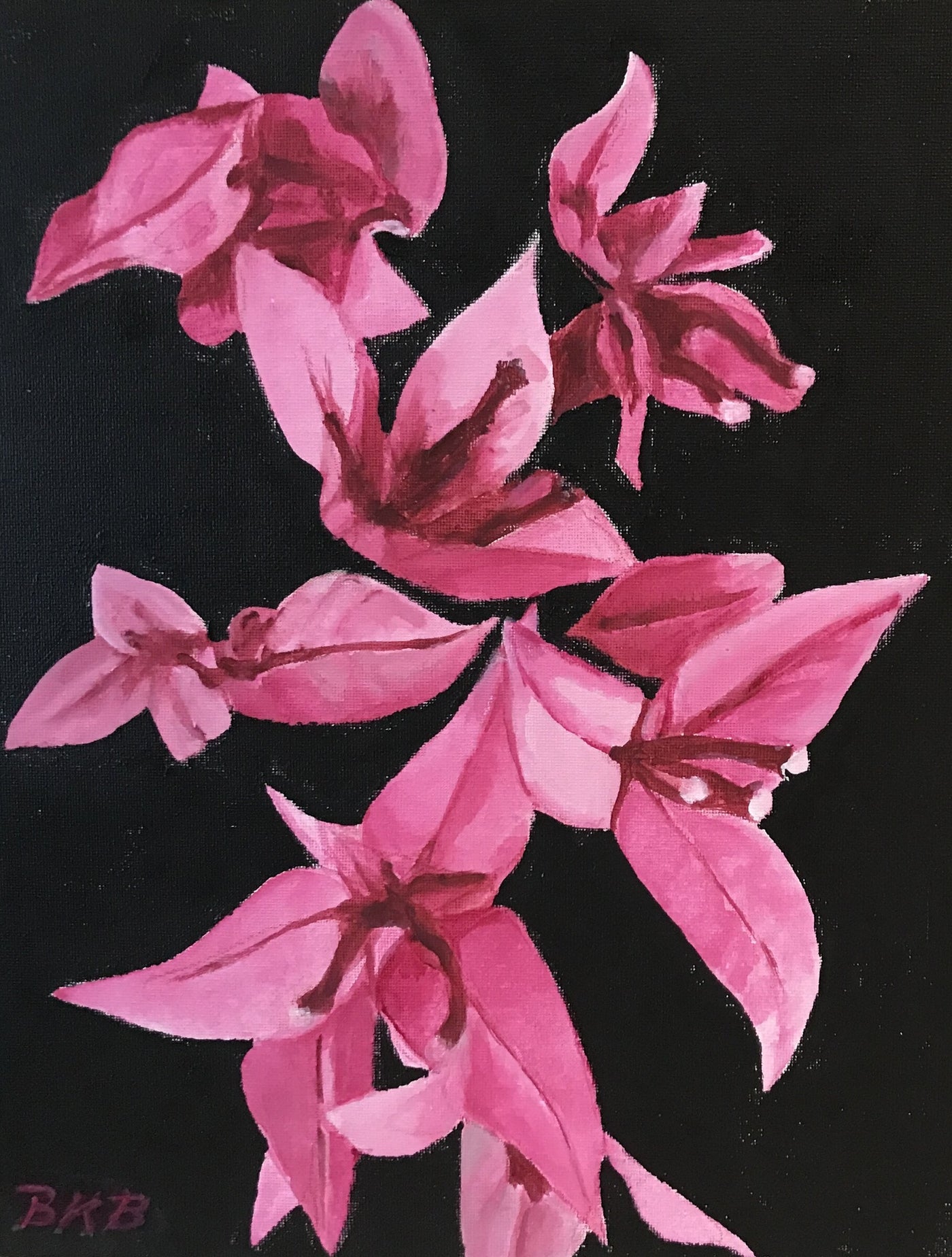 Pastel Magenta Spray