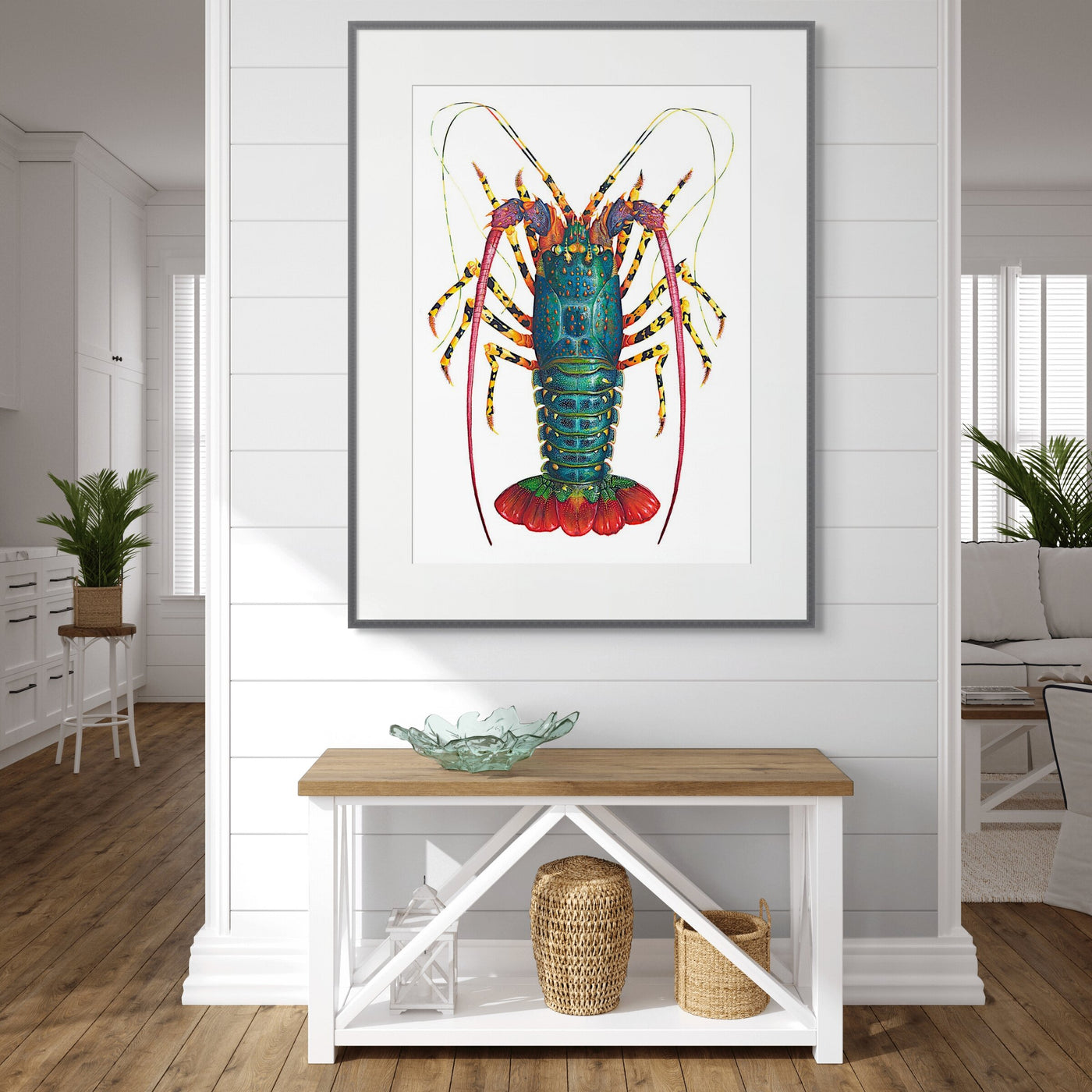 Rainbow Spiny Lobster - Panulirus Ornatus