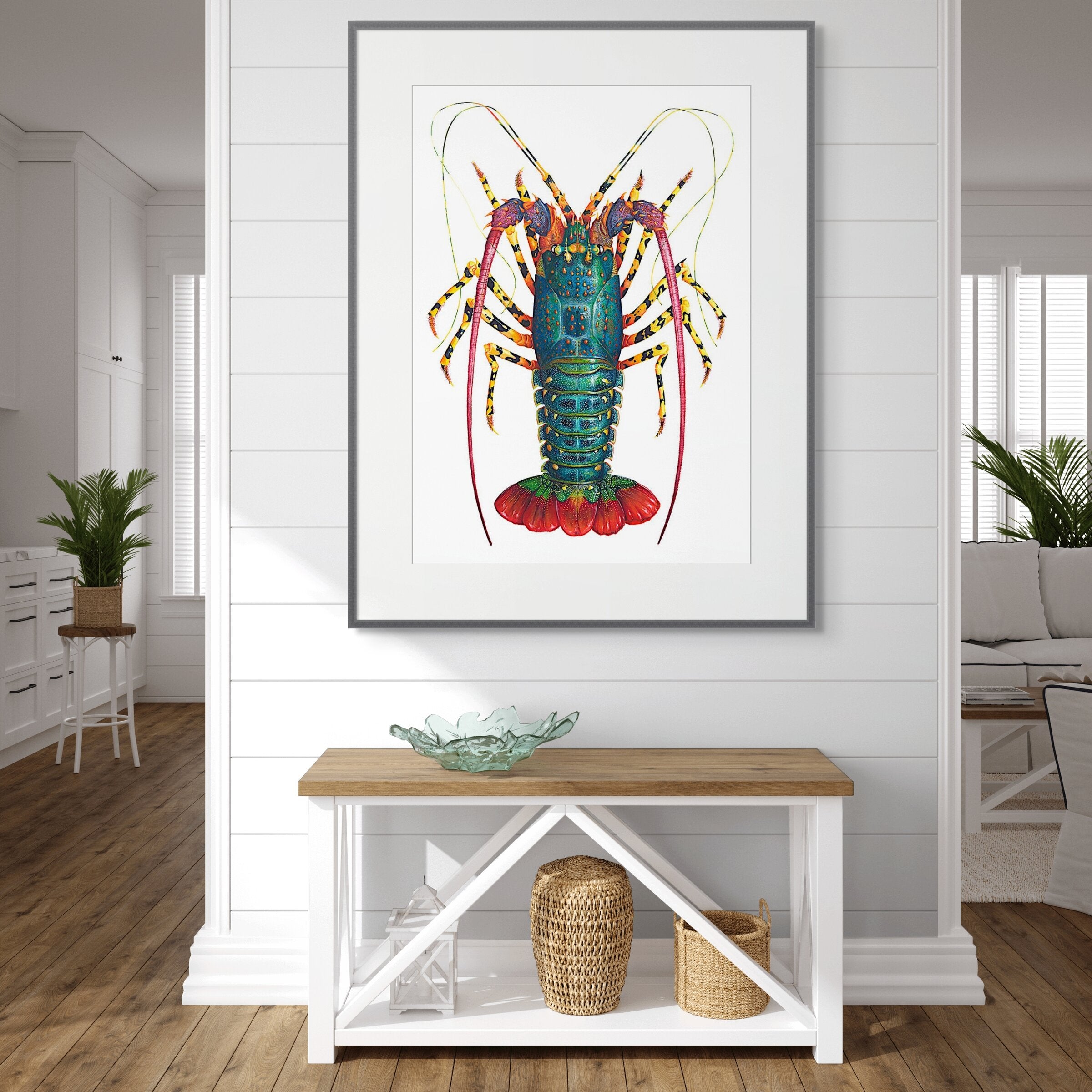 Rainbow Spiny Lobster - Panulirus Ornatus