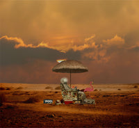 The Oasis