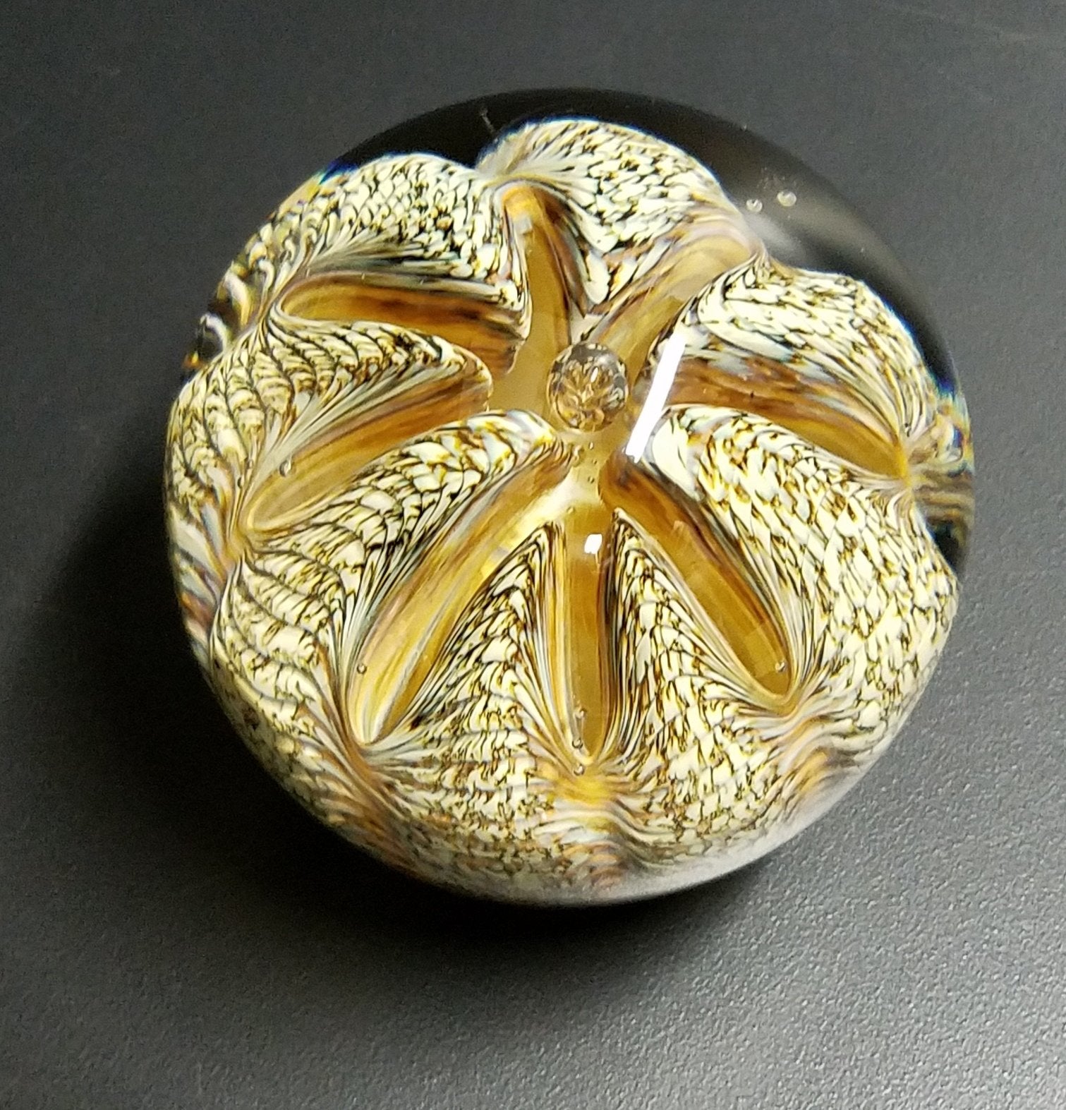 Earthtone Spotted Urchin