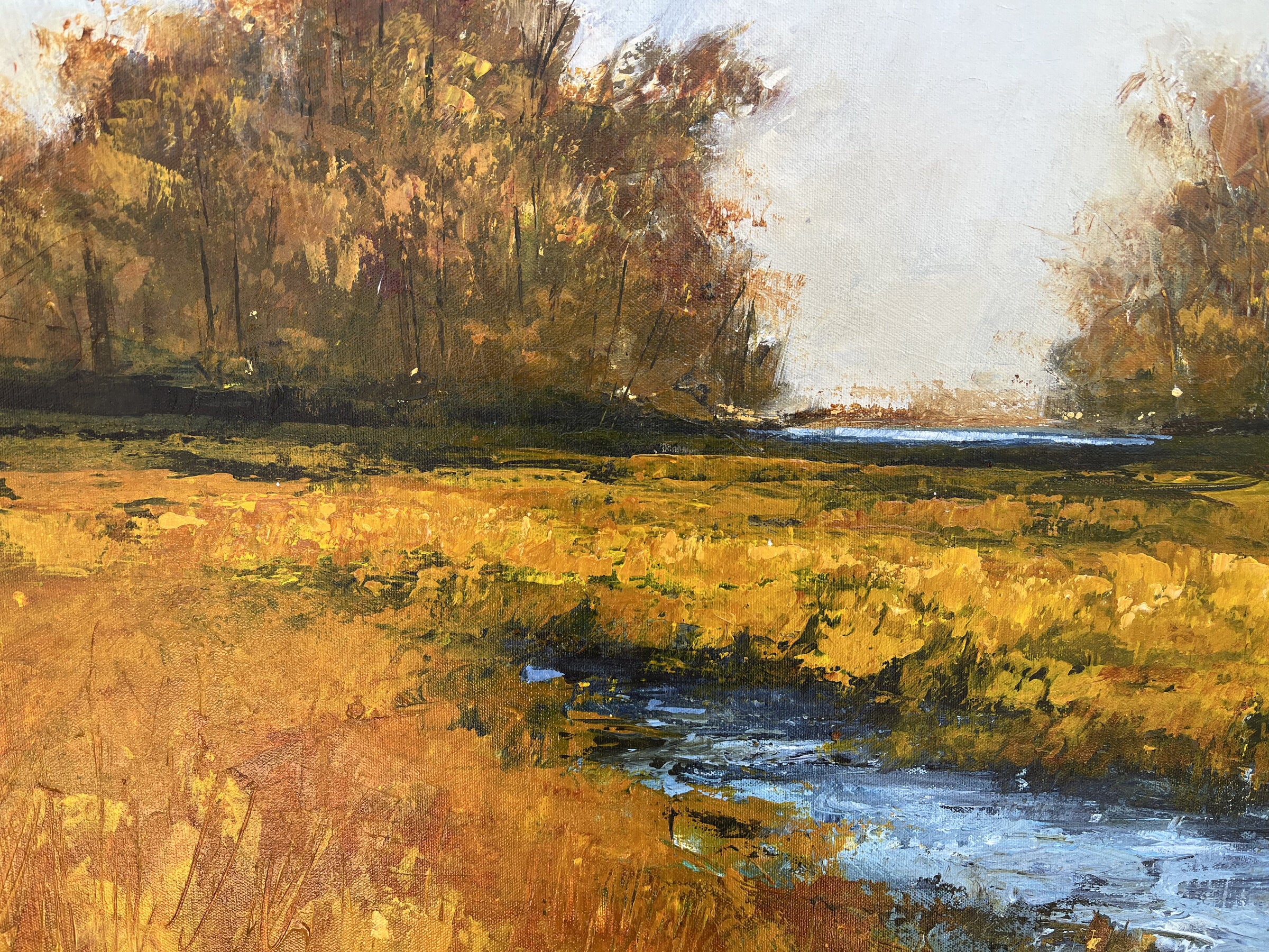 Sunset Meadow