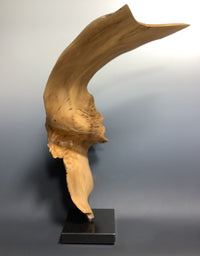 Natural Beauty-Olive Ribbon