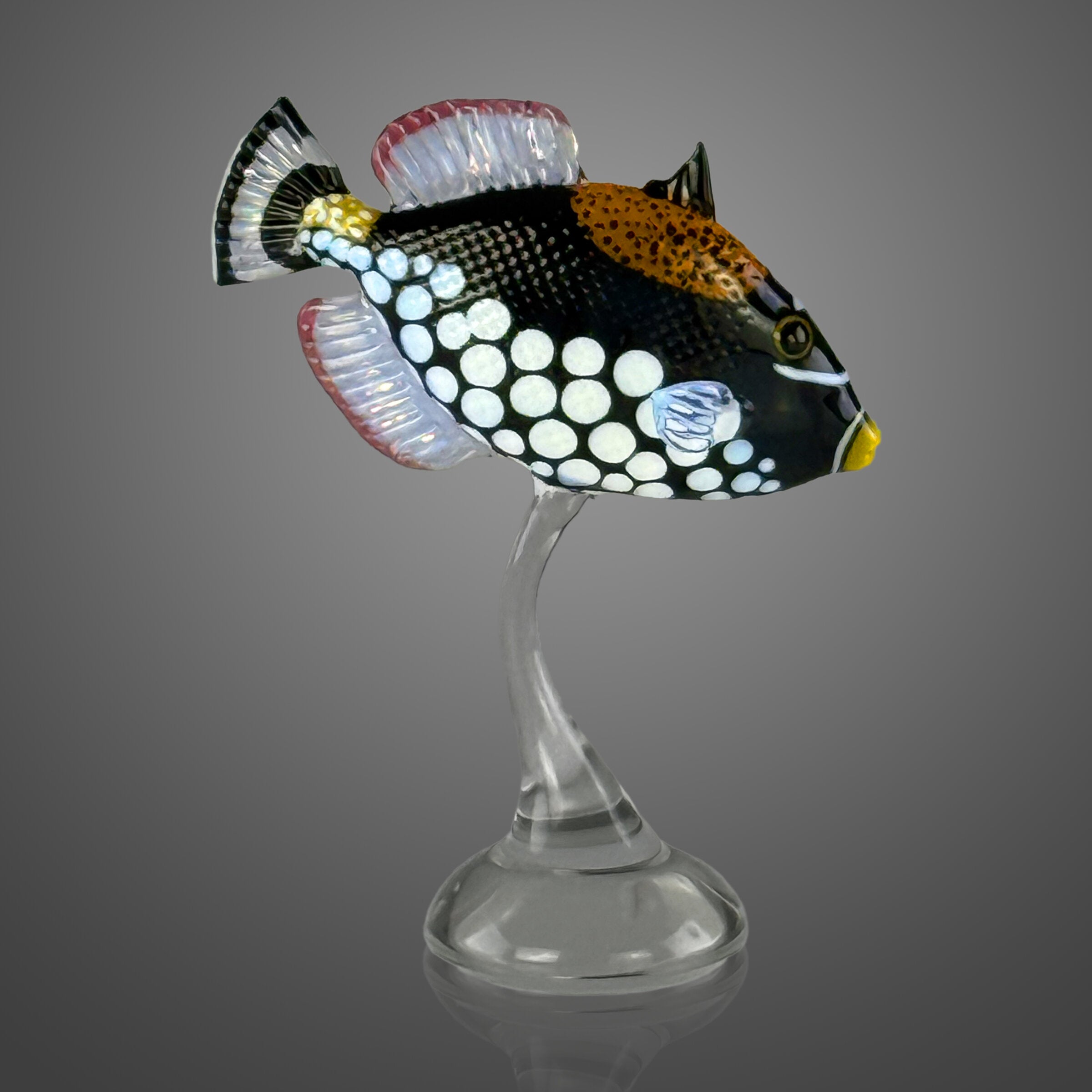 Clown Triggerfish