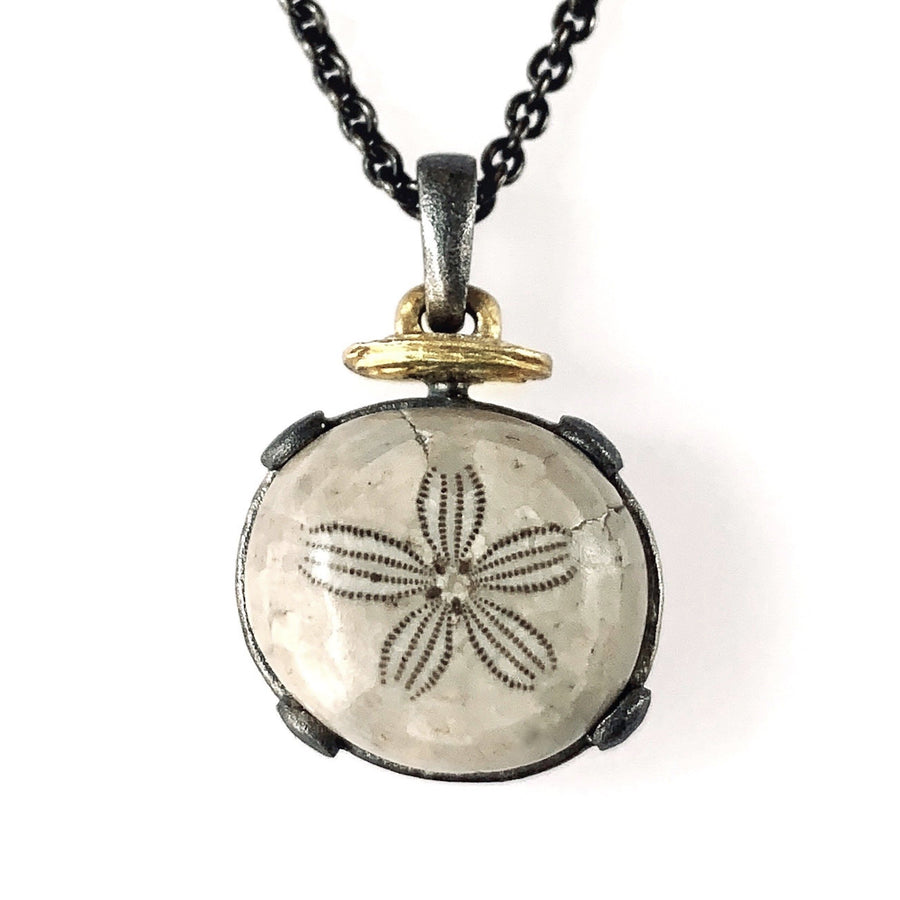 Fossilized Sand Dollar Pendant
