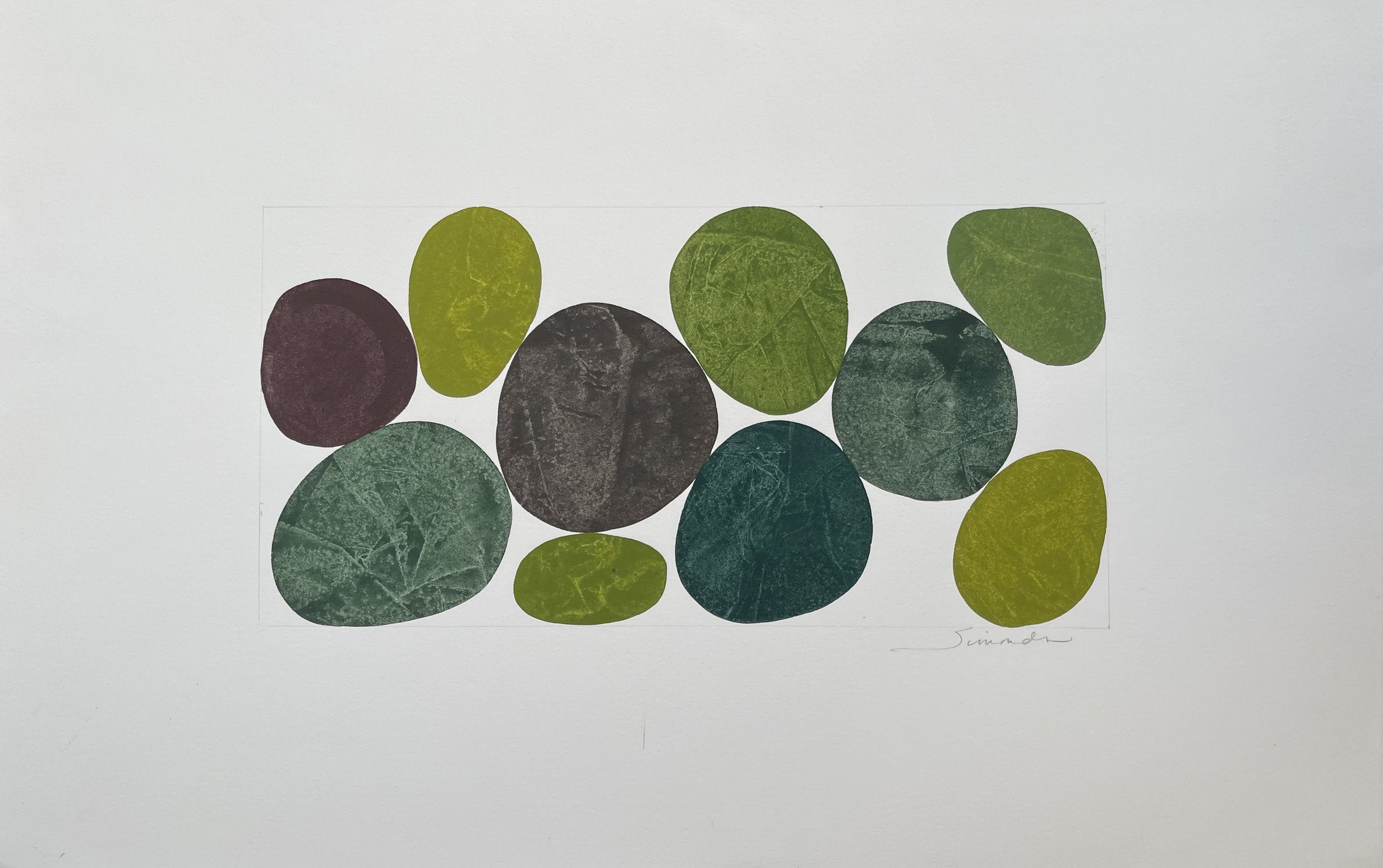 Green Group Evergreen
