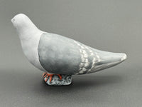 Pale Gray Head