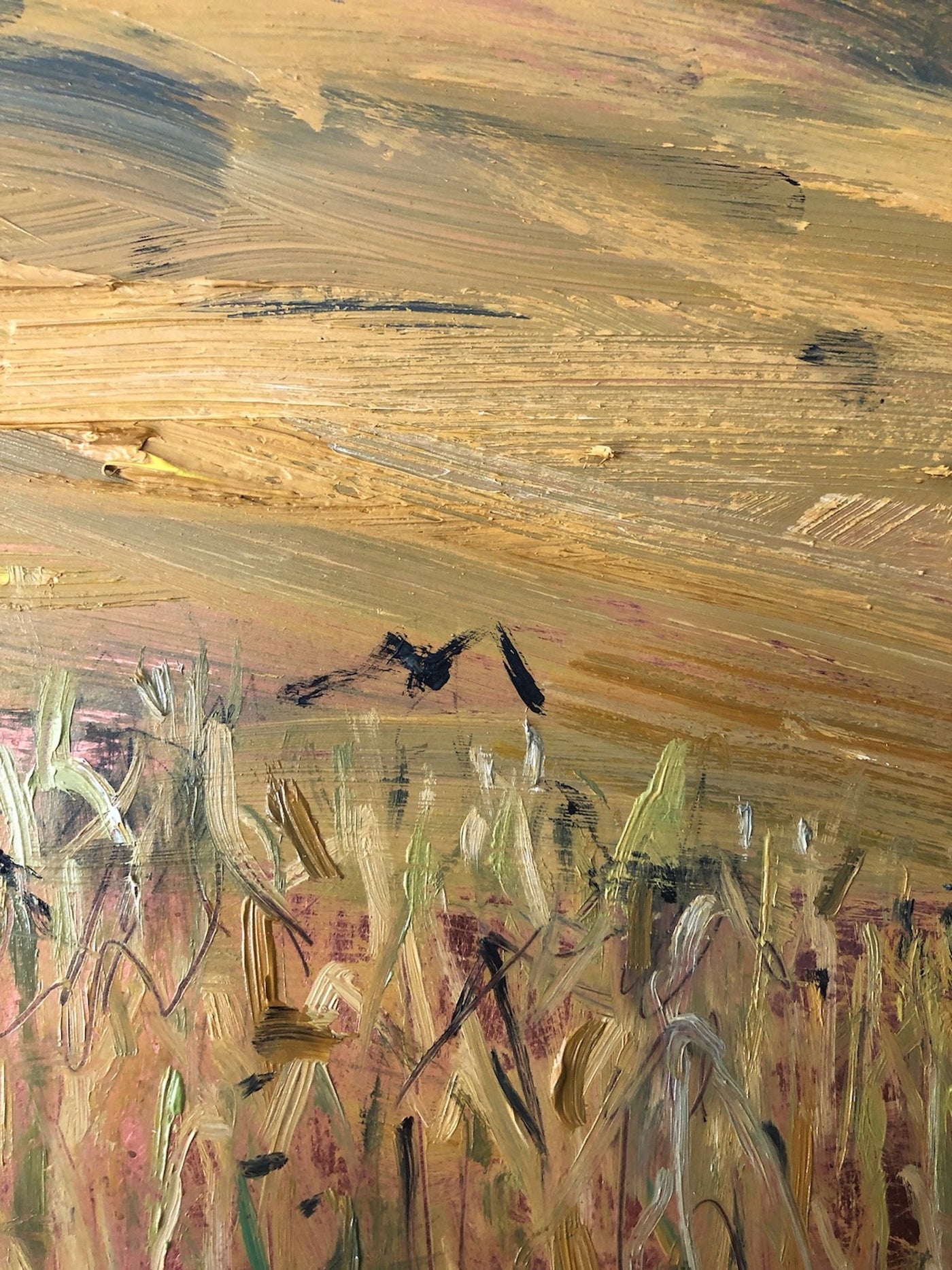A Murder of Crows Ascending a Cornfield