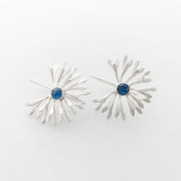 Peacock Tail Earrings