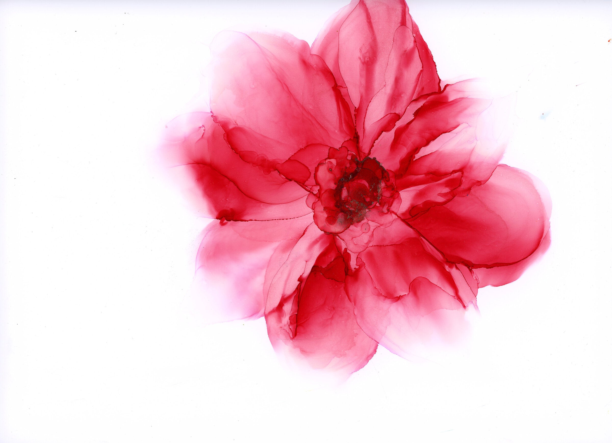 Crimson Drift