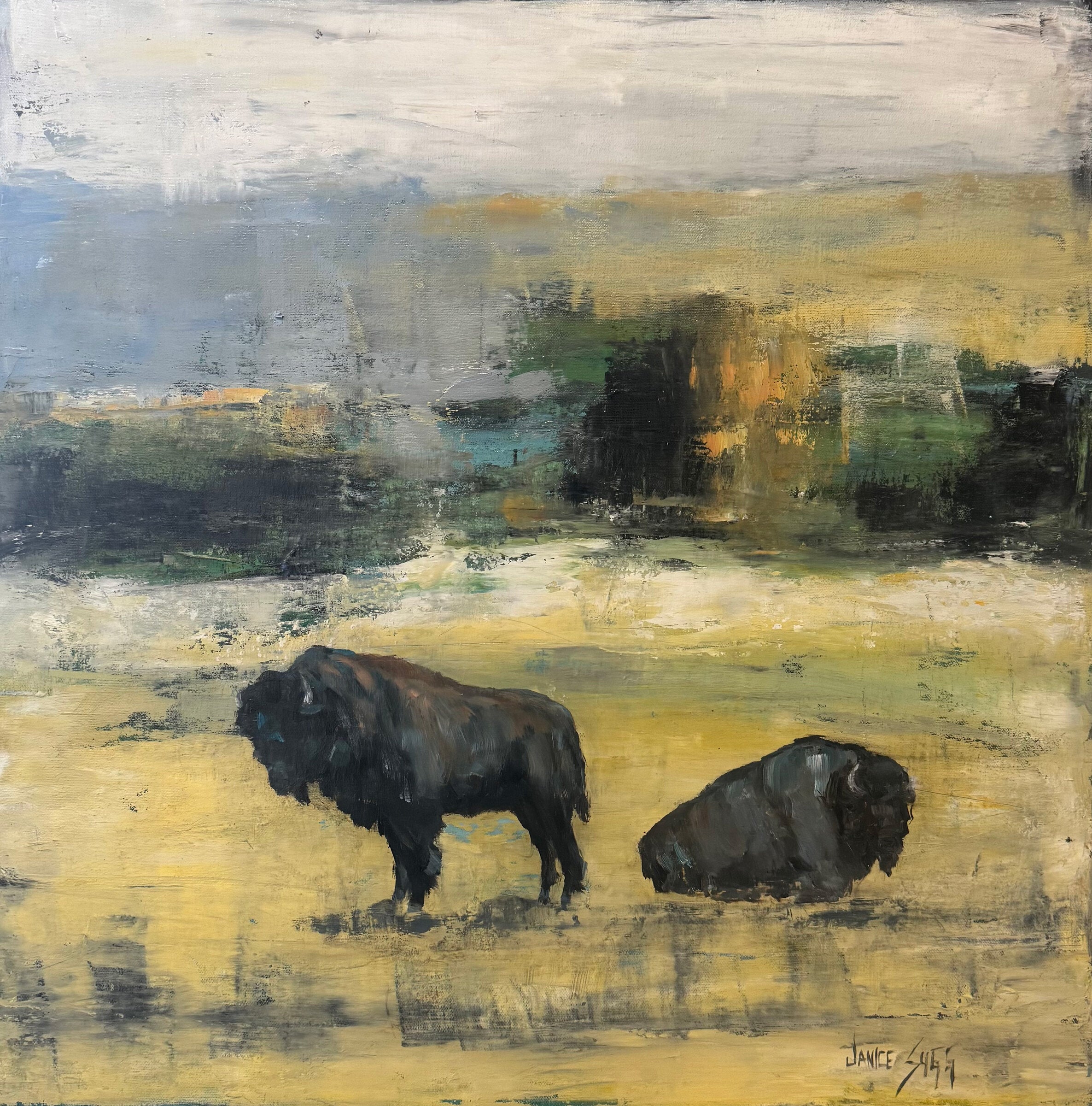 Bison In The Meadow II