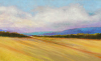 Mountain Meadow