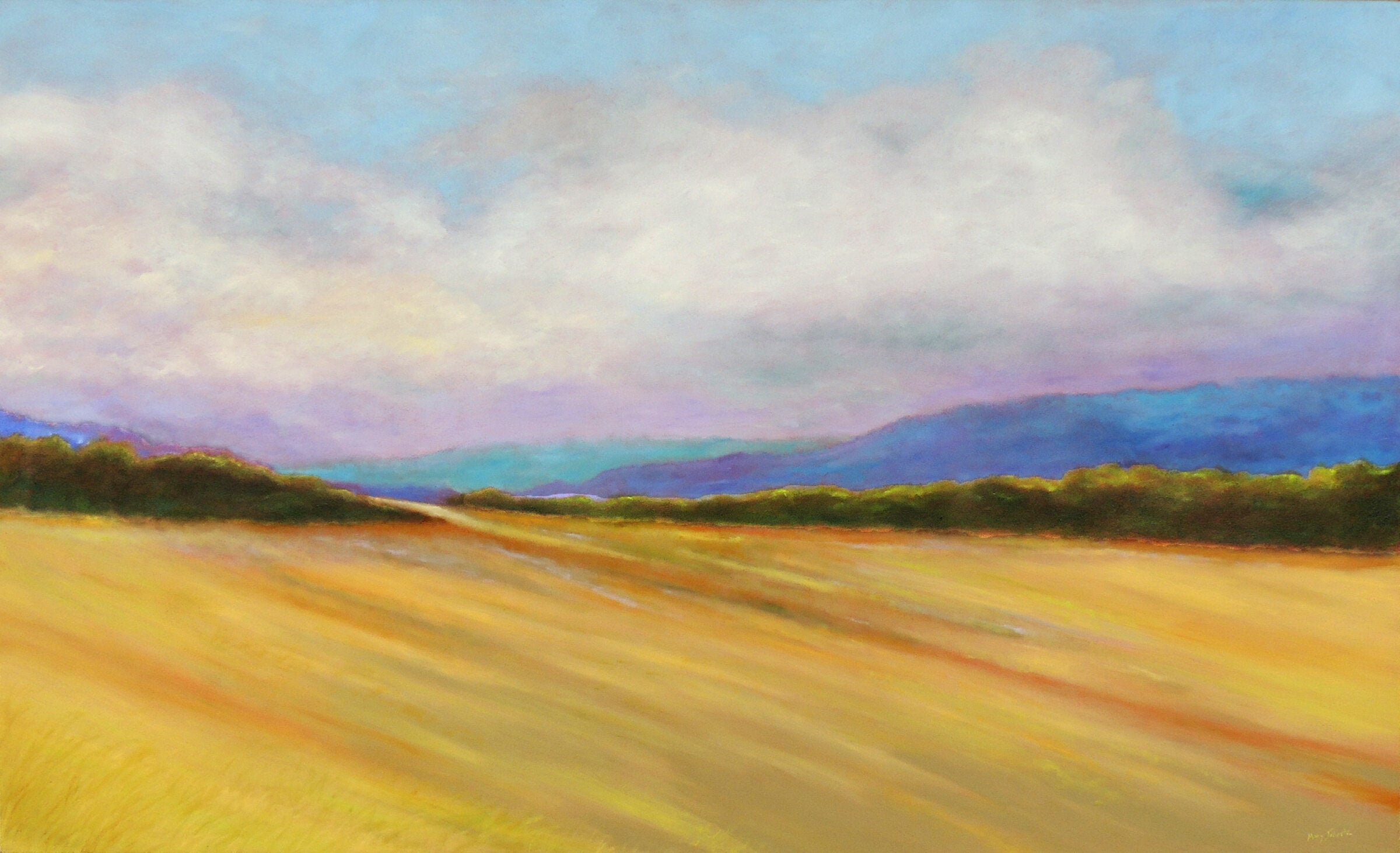 Mountain Meadow