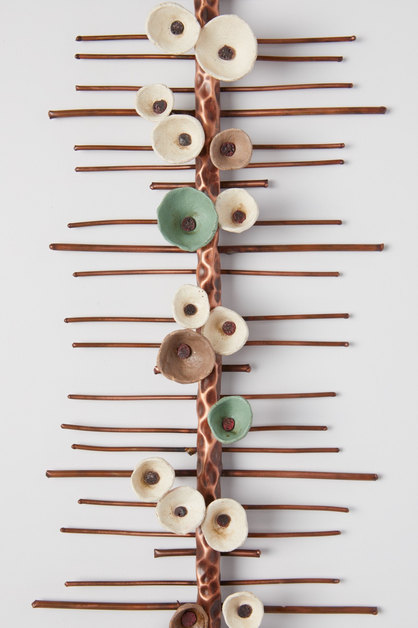 Climbing Blossom Wall Bands