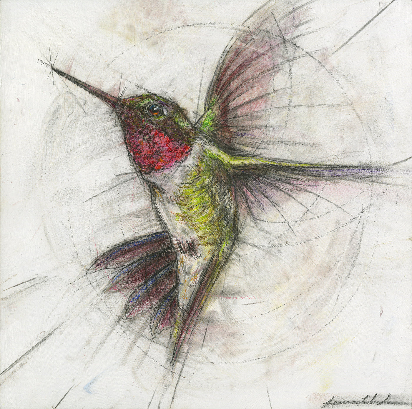 Hummingbird 007