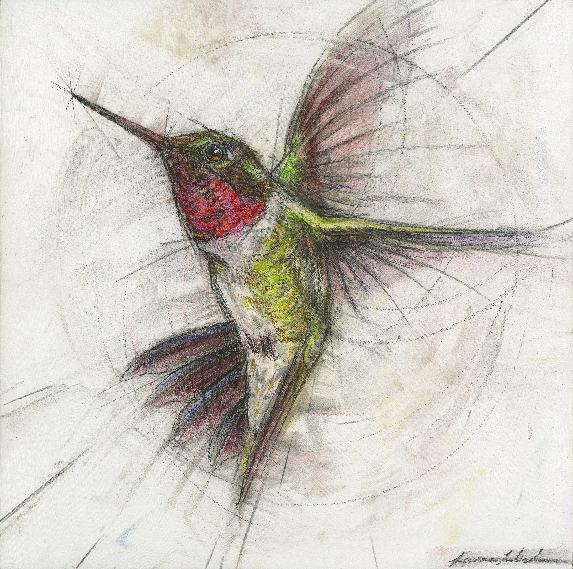 Hummingbird 007