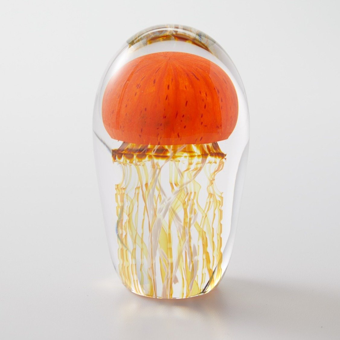 Pacific Coast Jellyfish Mini