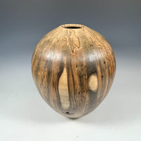 Ambrosia Maple Hollow Form Vessel II
