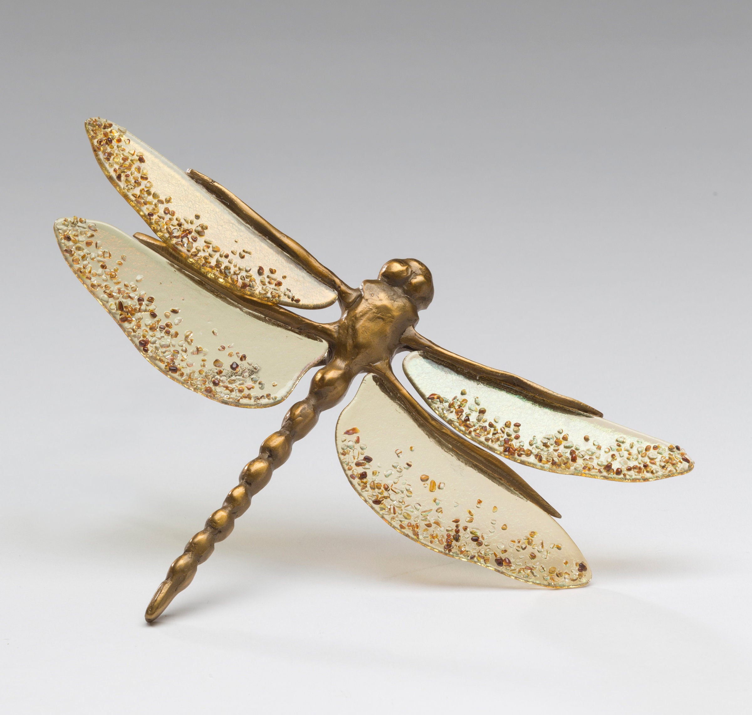 Brown Dragonfly with Amber Wings