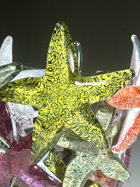 Starfish Cluster