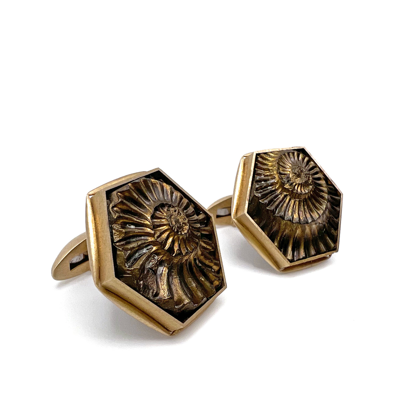 Ammonite Fossil Cufflinks