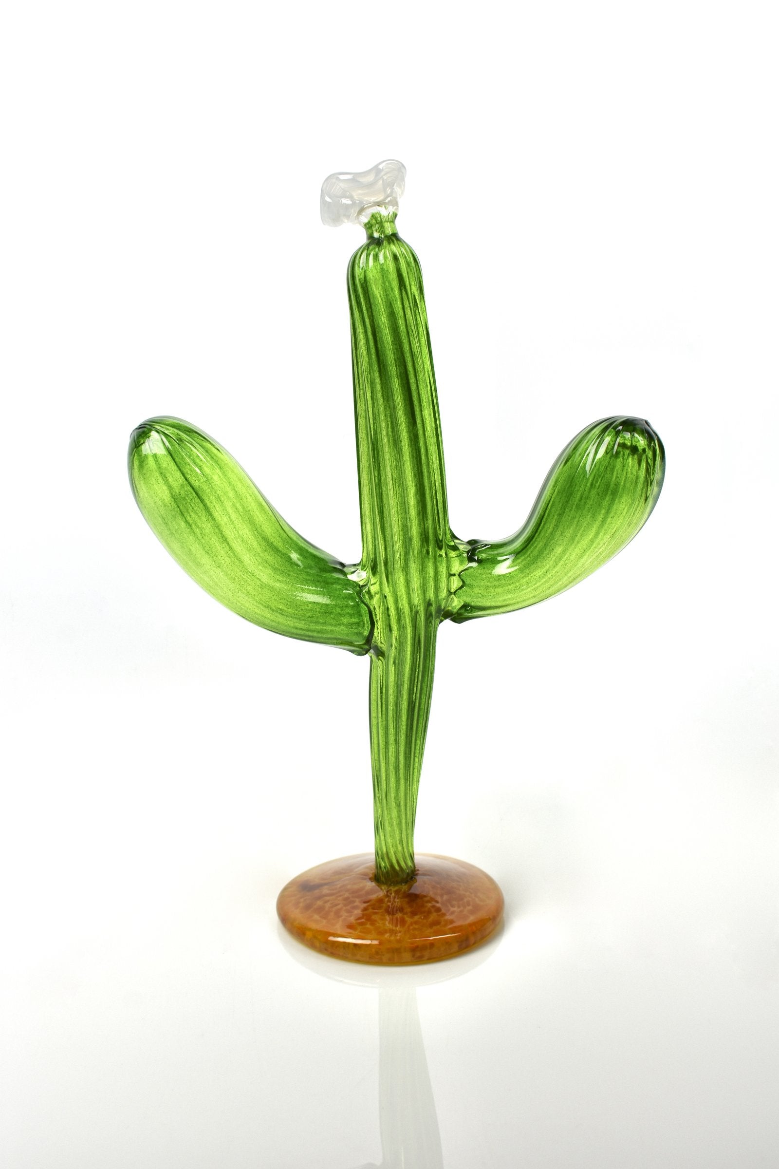 Saguaro