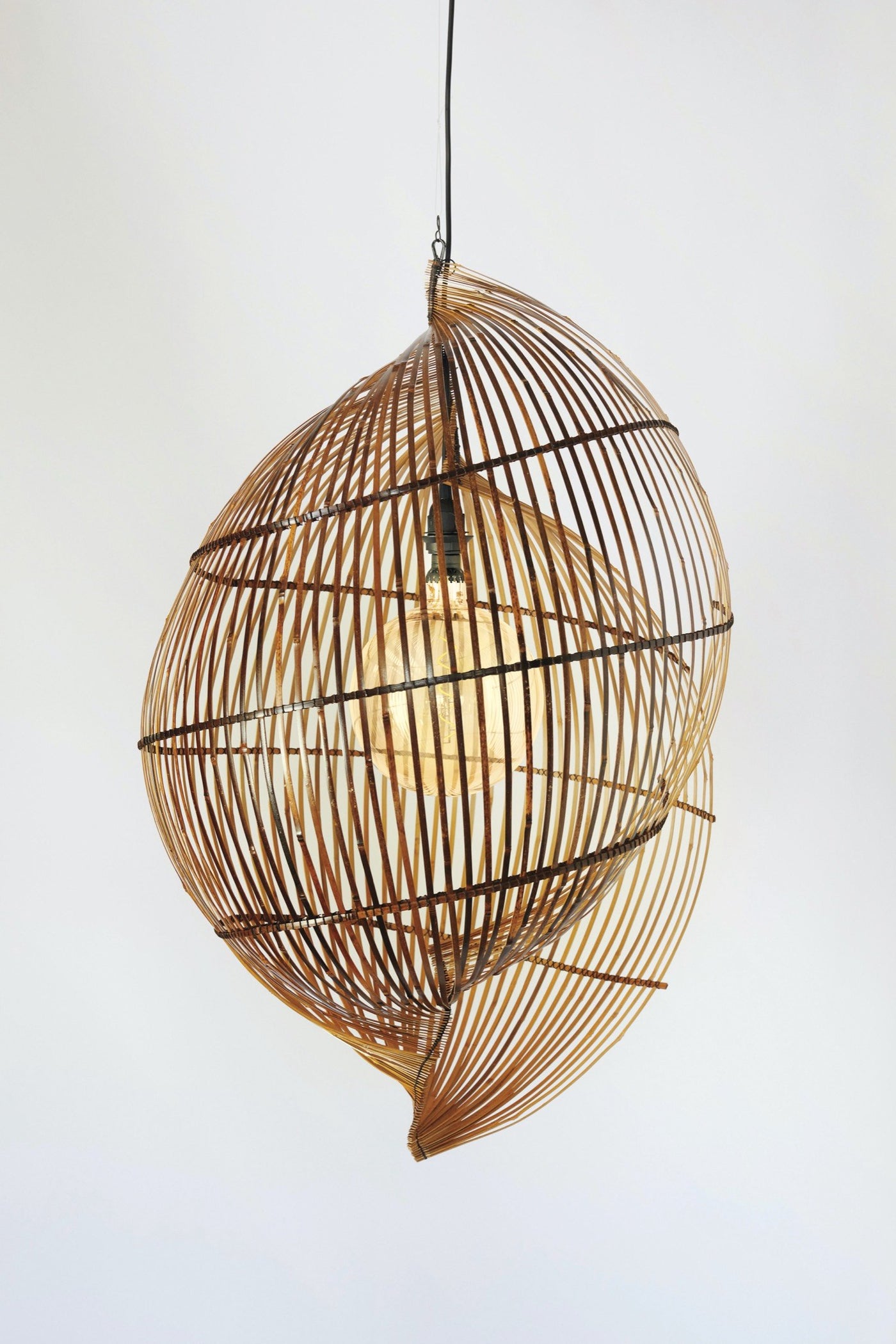 Single Shell Light