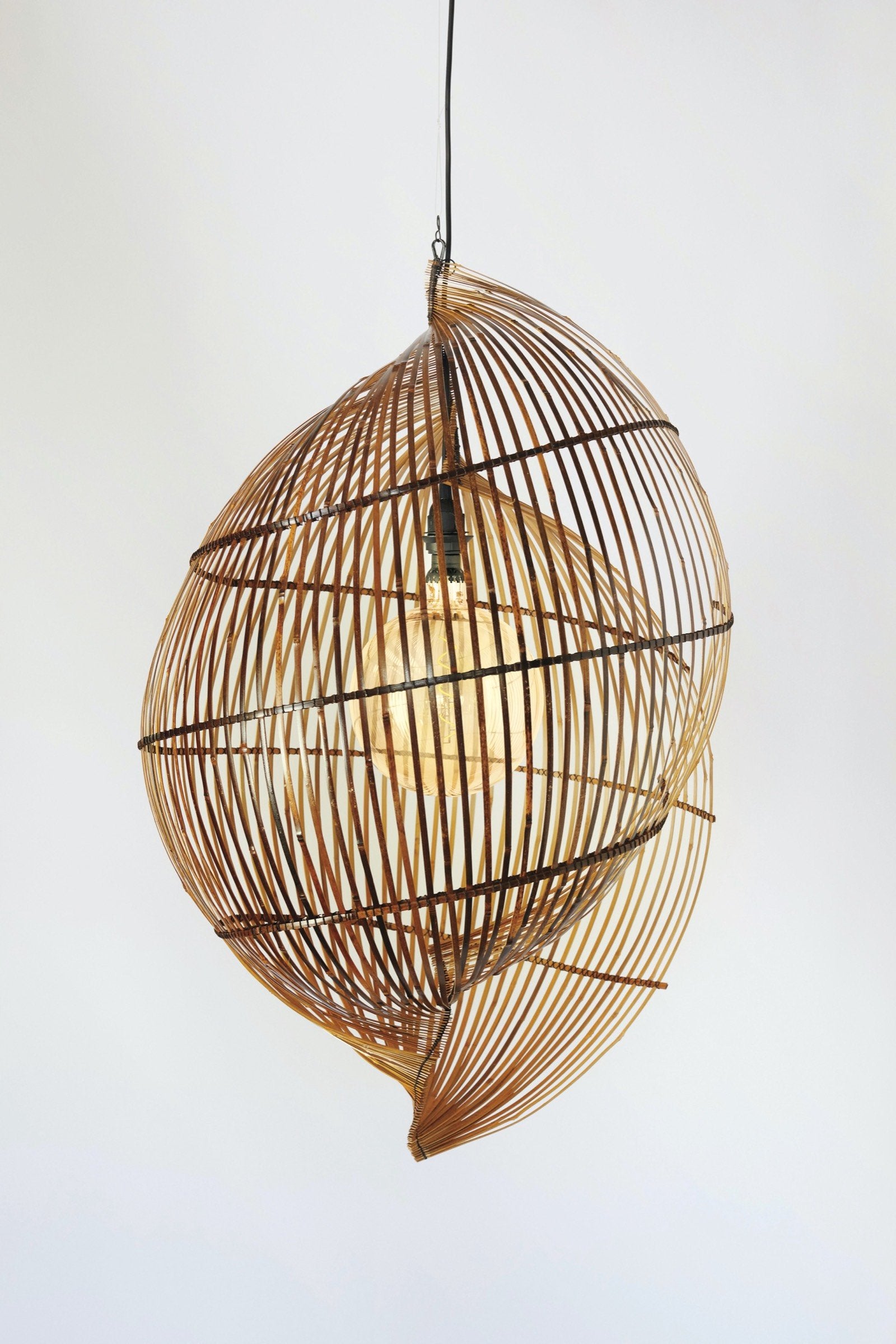 Single Shell Light