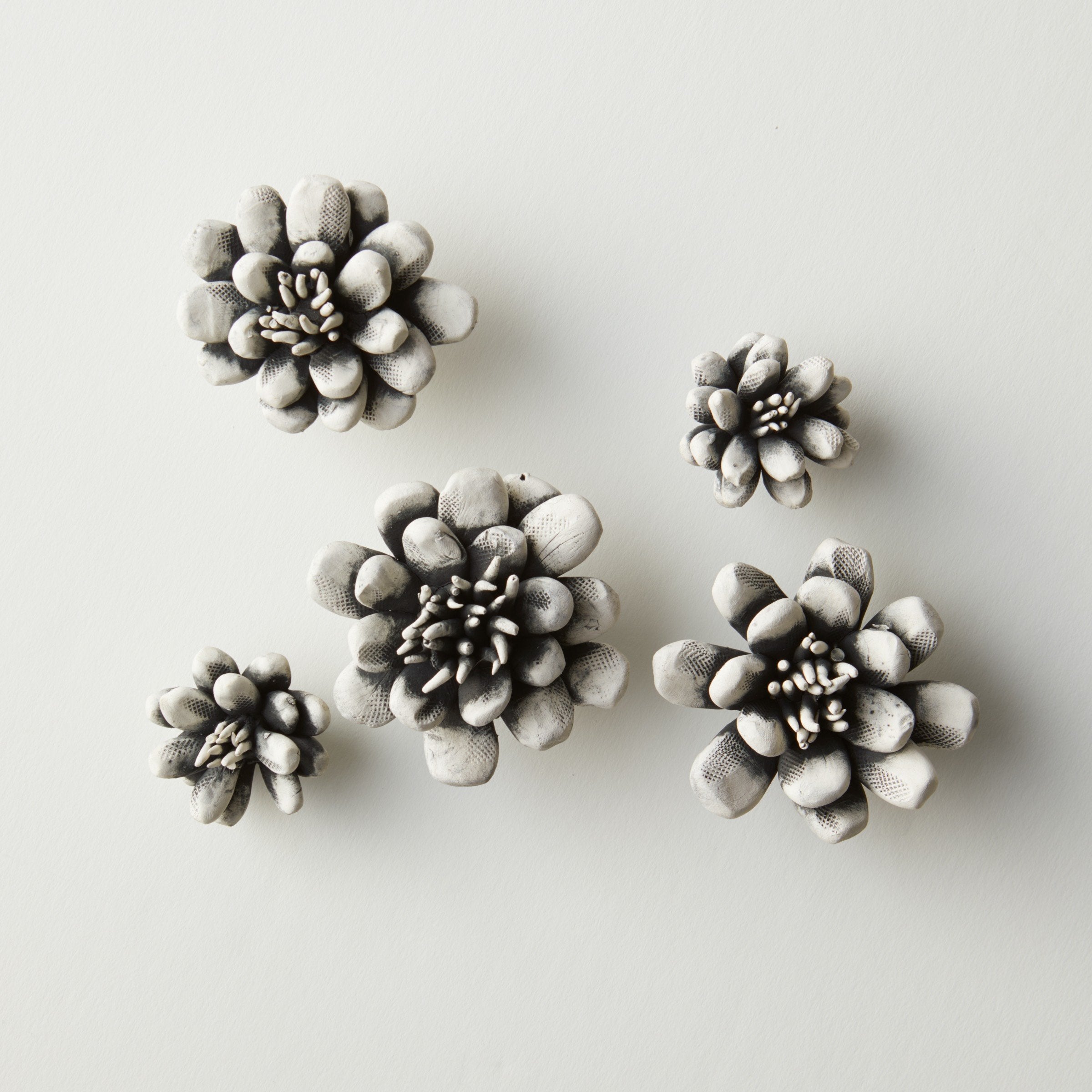 Set of 5 blooms