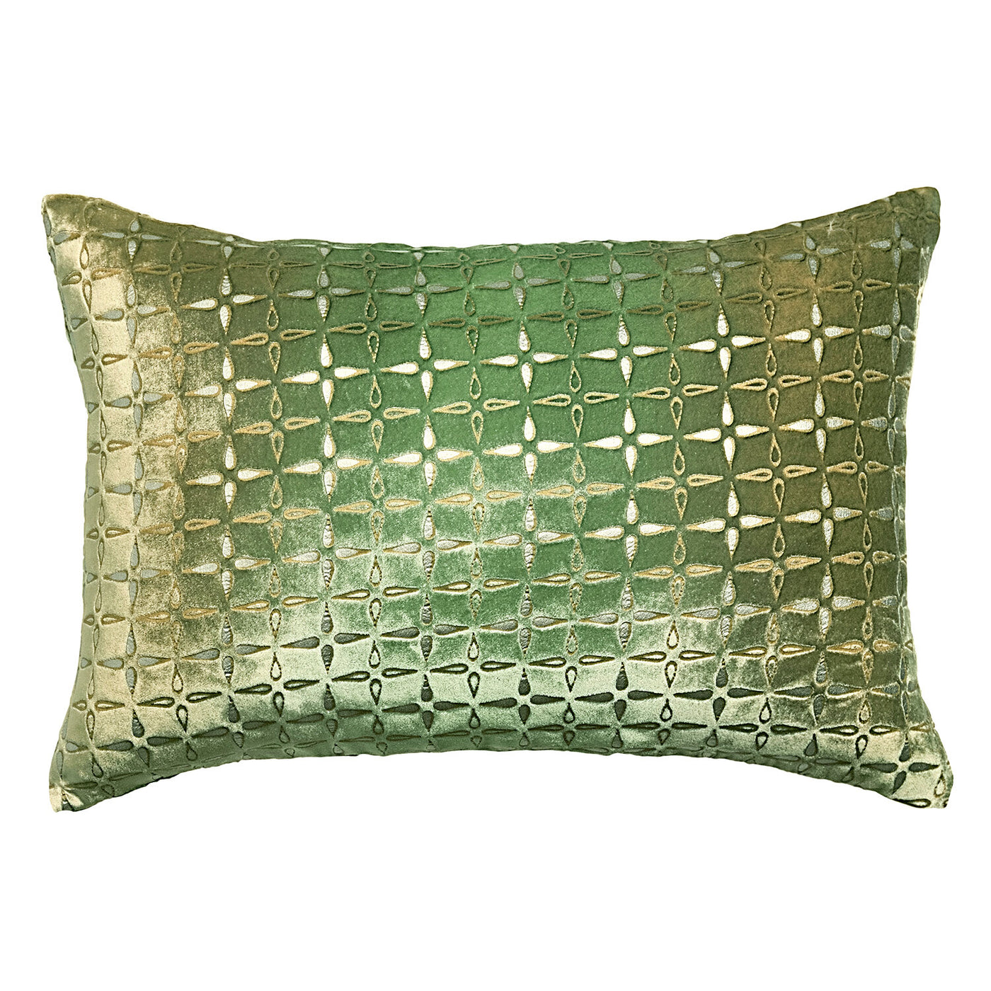 Lumbar, Evergreen