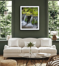 Fern Spring