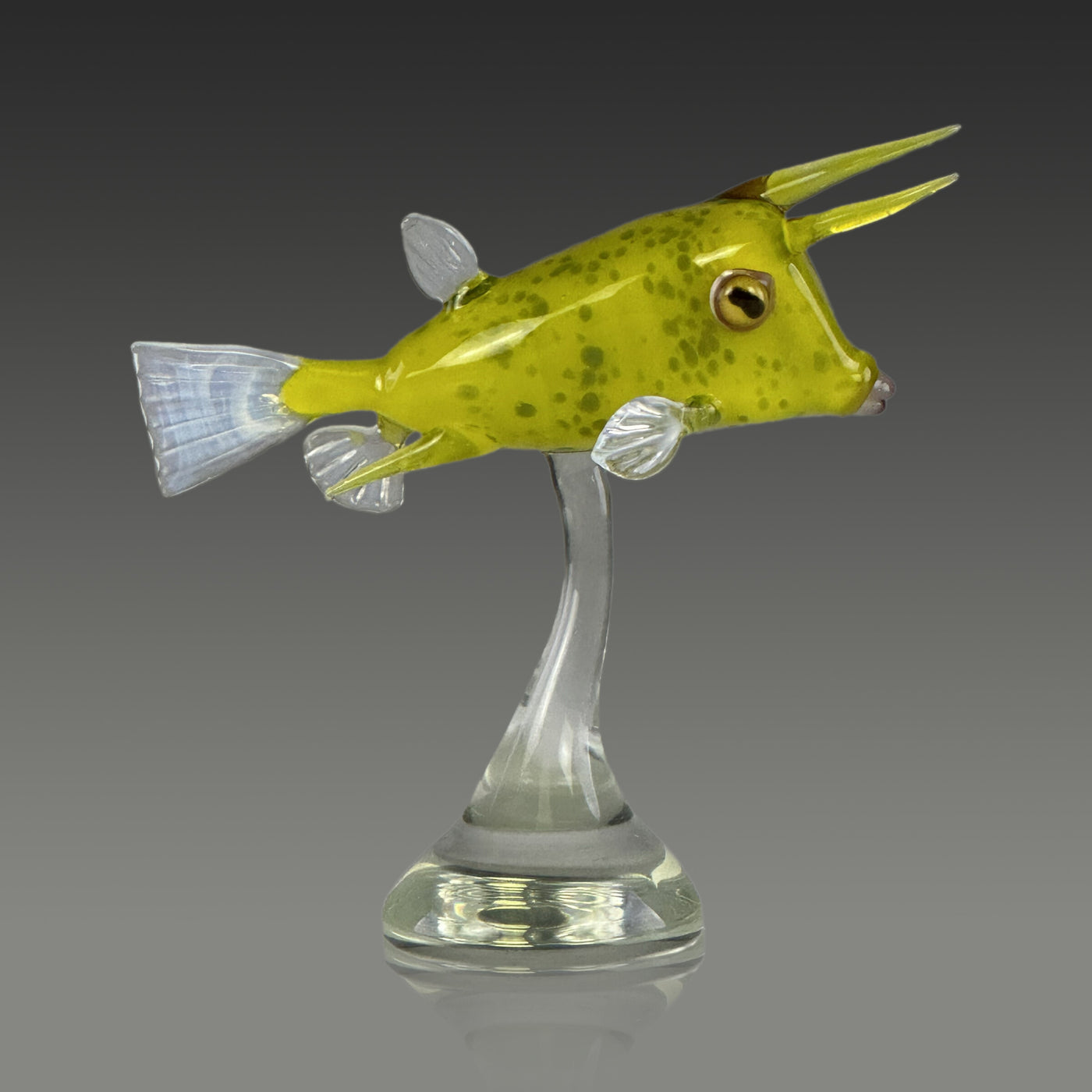 Longhorn Cowfish